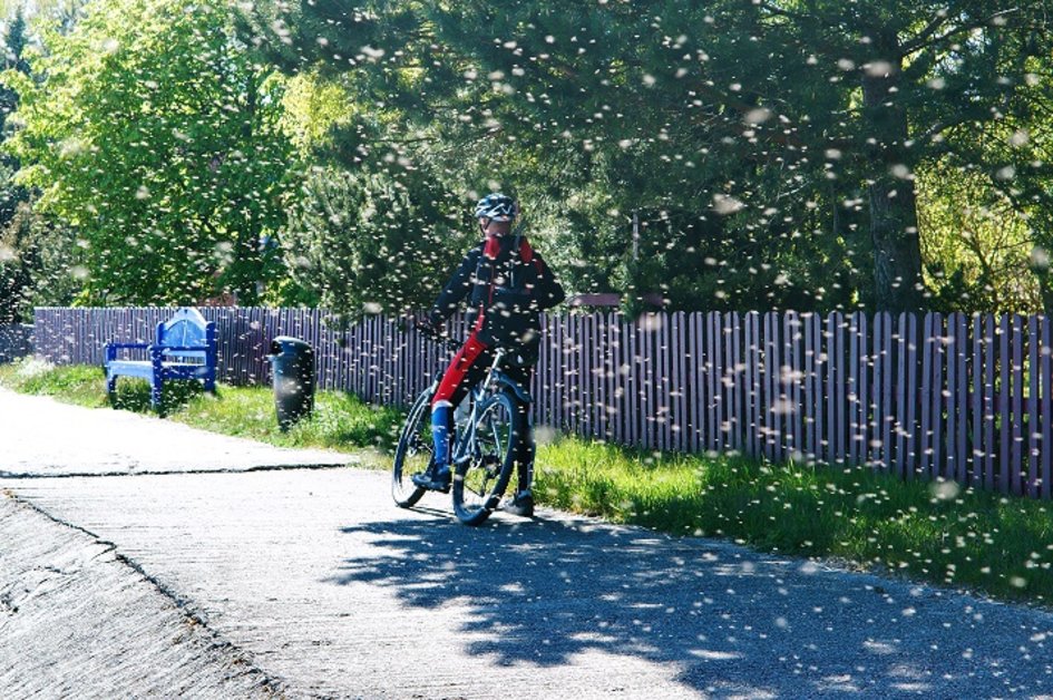 5 spôsobov, ako sa na bicykli chrániť proti hmyzu>