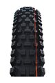 SCHWALBE plášť - ALBERT GRAVITY PRO 29x2.50 EVOLUTION 67EPI - čierna