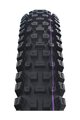 SCHWALBE plášť - ALBERT GRAVITY PRO 29x2.50 EVOLUTION 67EPI - čierna