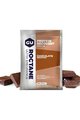 GU Cyklistická výživa - ROCTANE RECOVERY DRINK MIX 62 G CHOCOLATE SMOOTHIE