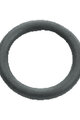 SKS náhradný diel - O-RING VALVE WASHER - čierna