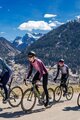 ALÉ Cyklistický dres s dlhým rukávom zimný - CIRCUS PR-S - fialová