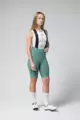 GOBIK Cyklistické nohavice krátke s trakmi - MATT 2.0 K9 W - zelená
