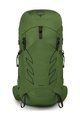 OSPREY batoh - TALON 33 L/XL - zelená