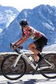 ALÉ Cyklistický dres s krátkym rukávom - TIGER LADY - ružová/zelená