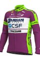 ALÉ Cyklistický dres s dlhým rukávom zimný - BARDIANI CSF 20 WNT - zelená/fialová