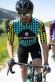 BIANCHI MILANO Cyklistický dres s krátkym rukávom - MASSARI - žltá/svetlo modrá