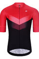 HOLOKOLO Cyklistický krátky dres a krátke nohavice - ARROW II - čierna/červená