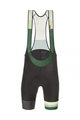 SANTINI Cyklistické nohavice krátke s trakmi - LA VUELTA 2021 - zelená/šedá