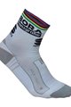 SPORTFUL Cyklistické ponožky klasické - BORA HANSGROHE 2018 - biela/šedá