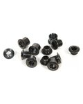 SRAM sada skrutiek - CRANK CHAINRING BOLT KIT 4-ARM - čierna