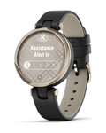 GARMIN smart hodinky - LILY - čierna/zlatá