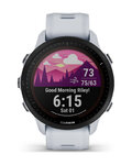 GARMIN smart hodinky - FORERUNNER 955 SOLAR - šedá
