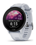 GARMIN smart hodinky - FORERUNNER 955 - šedá