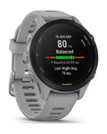 GARMIN smart hodinky - FORERUNNER 255S - šedá