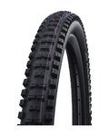 SCHWALBE plášť - BIG BETTY (62-622) 29x2.40 DOWNHILL - čierna