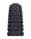 SCHWALBE plášť - ALBERT GRAVITY PRO 29x2.50 EVOLUTION 67EPI - čierna