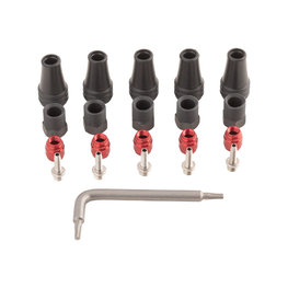 SRAM sada skrutiek - DISC BRAKE HOSE FITTING KIT - čierna