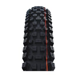 SCHWALBE plášť - ALBERT GRAVITY PRO 29x2.50 EVOLUTION 67EPI - čierna