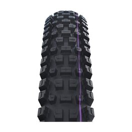 SCHWALBE plášť - ALBERT GRAVITY PRO 29x2.50 EVOLUTION 67EPI - čierna