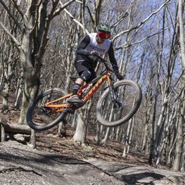 LIMAR Cyklistická prilba - DELTA MTB - zelená